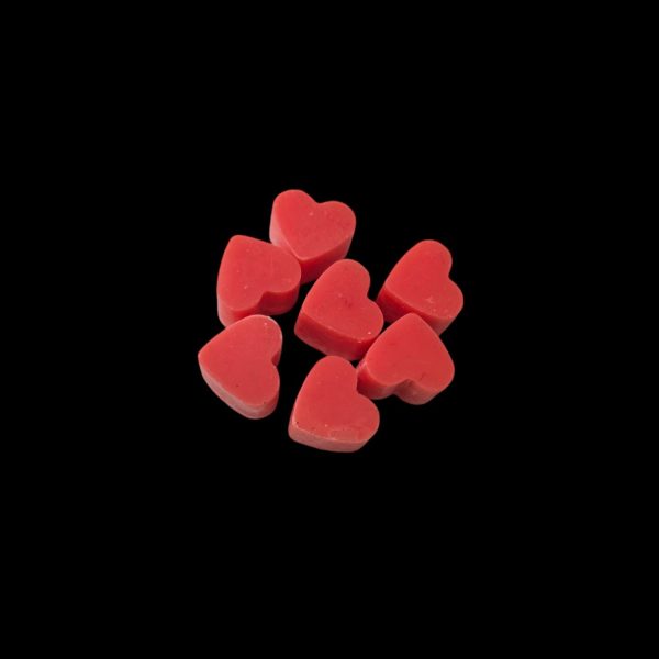 Head in the CLOUDS, HEART on our sleeve, Reach for the STARS | Mini Wax Melts