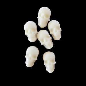 BAD TO THE BONE RANGE | Extinct Dinosaurs🦖🦕 | Scary Sculls💀☠️ | Mini Wax Melts