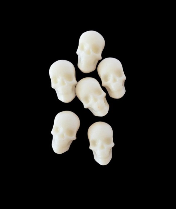 BAD TO THE BONE RANGE | Extinct Dinosaurs🦖🦕 | Scary Sculls💀☠️ | Mini Wax Melts